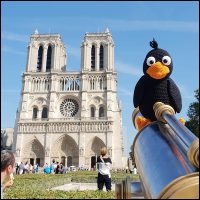 Product afbeelding Notre dame Barry pattern