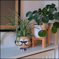 Product afbeelding plantenpopje jongen gang Doll planter/glasses holder pattern