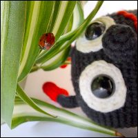 Product afbeelding Liefdeheersbeestje kijkt naar lieveheersbeestje Lovebug pattern