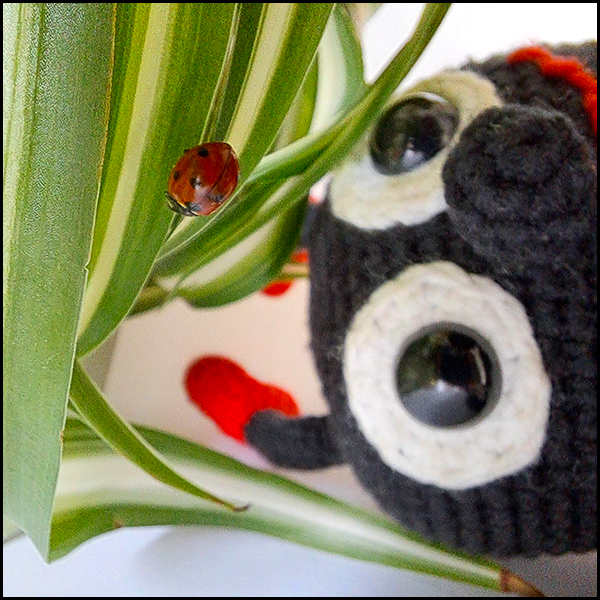 Product afbeelding Liefdeheersbeestje kijkt naar lieveheersbeestje Lovebug pattern