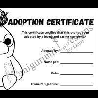 Adoptiecertificaat vierkant US website Baby Barry pattern